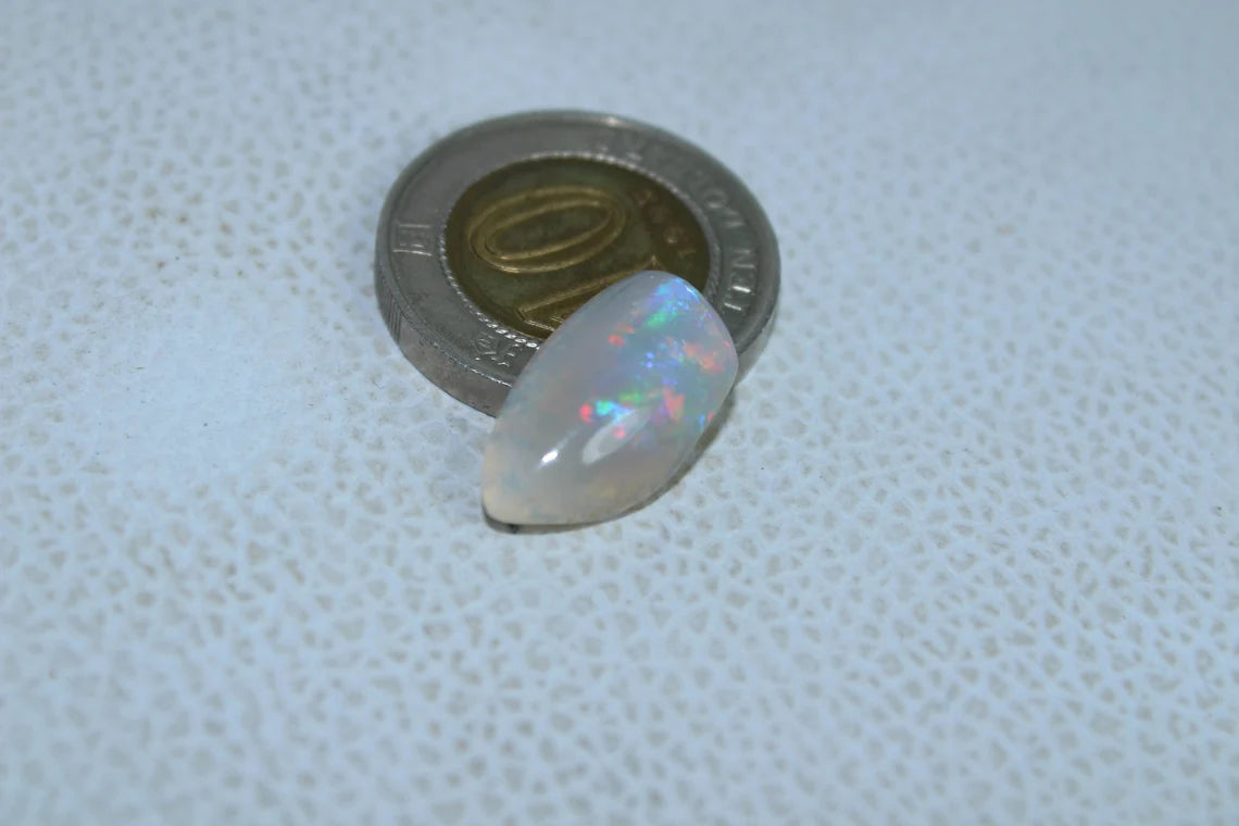 Natural Australian Opal 5 Carat Fossil Shell Fancy Shape Gemstone Shell Size 18x10x5 MM