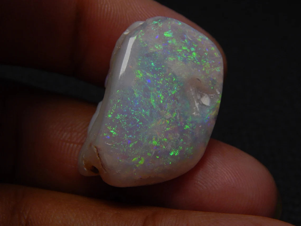 Australian Opal Rare Fossil Shell Fancy Shape Gemstone Shell 33.5 Carat Size 19x28 MM
