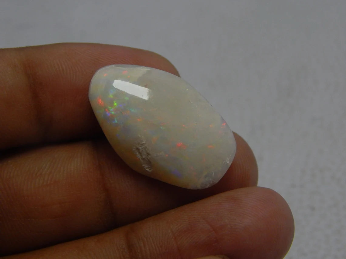 Australian Opal Fossilized Shell Fancy Shape Gemstone Shell 16.65 Carat Size 27X17 MM