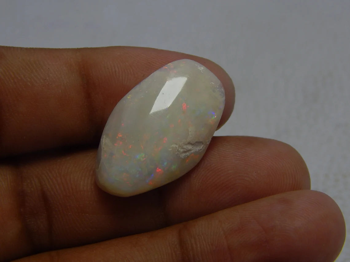 Australian Opal Fossilized Shell Fancy Shape Gemstone Shell 16.65 Carat Size 27X17 MM