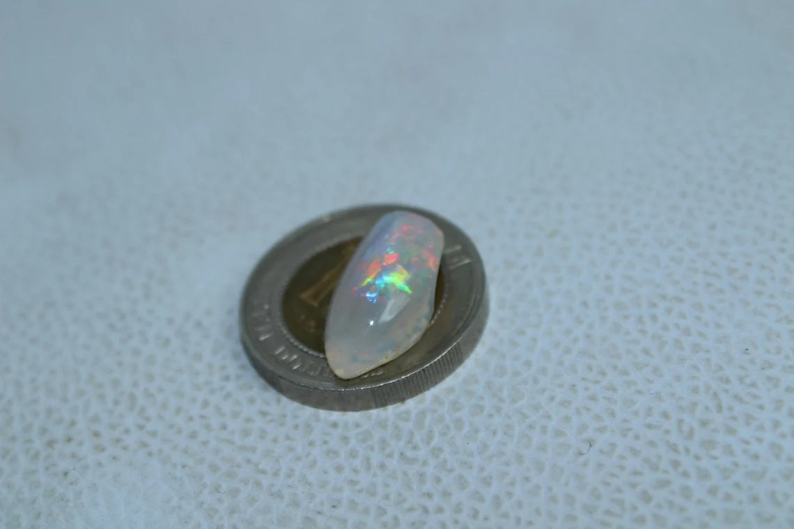 Natural Australian Opal 5 Carat Fossil Shell Fancy Shape Gemstone Shell Size 18x10x5 MM