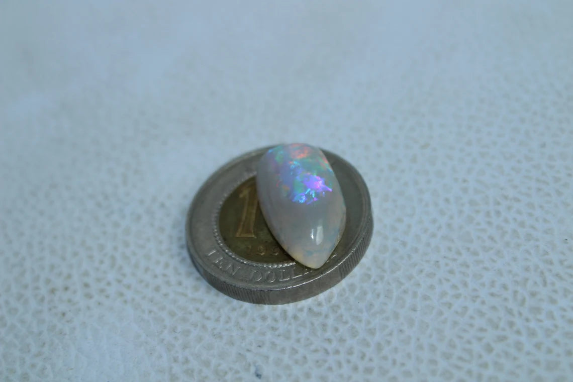 Natural Australian Opal 5 Carat Fossil Shell Fancy Shape Gemstone Shell Size 18x10x5 MM