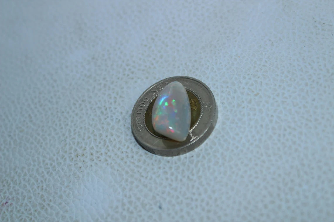 Natural Australian Opal 5 Carat Fossil Shell Fancy Shape Gemstone Shell Size 18x10x5 MM