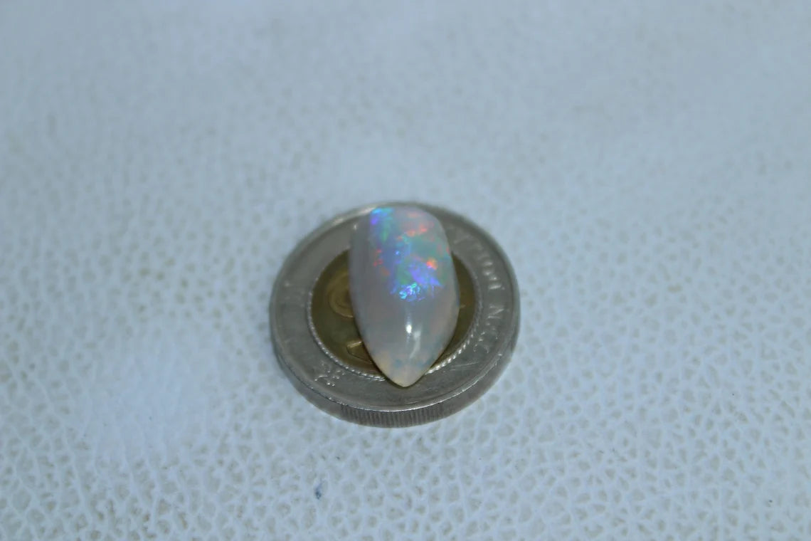 Natural Australian Opal 5 Carat Fossil Shell Fancy Shape Gemstone Shell Size 18x10x5 MM